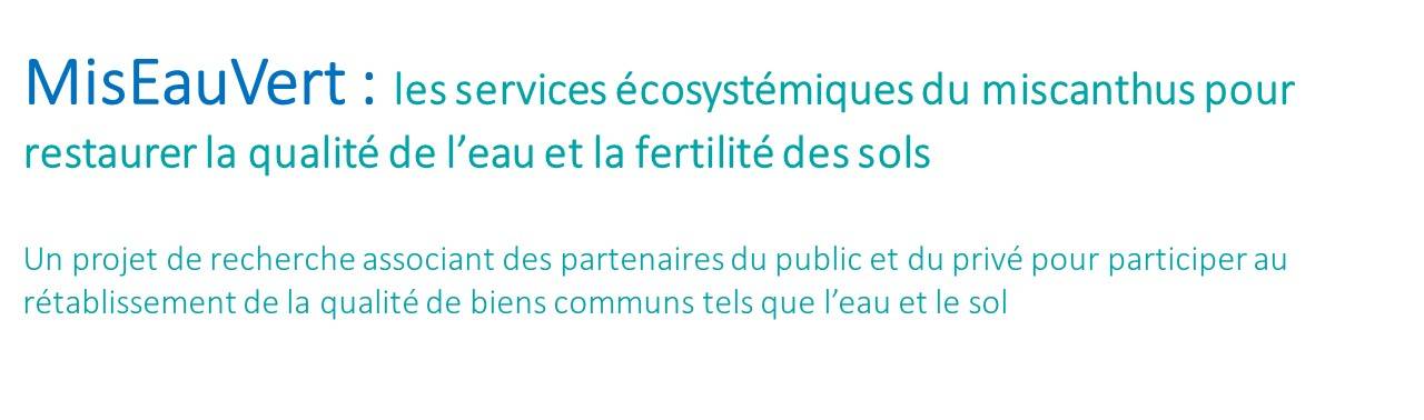 Titre de la page d'accueil