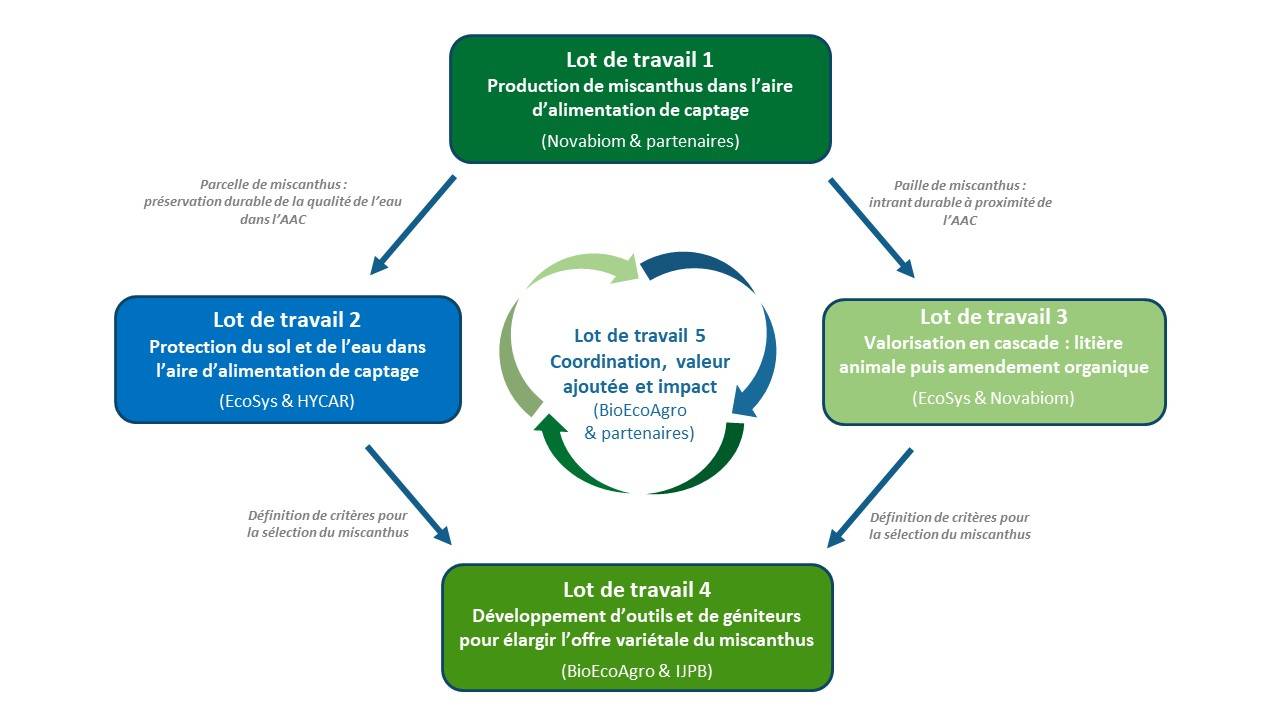 Organisation du projet
